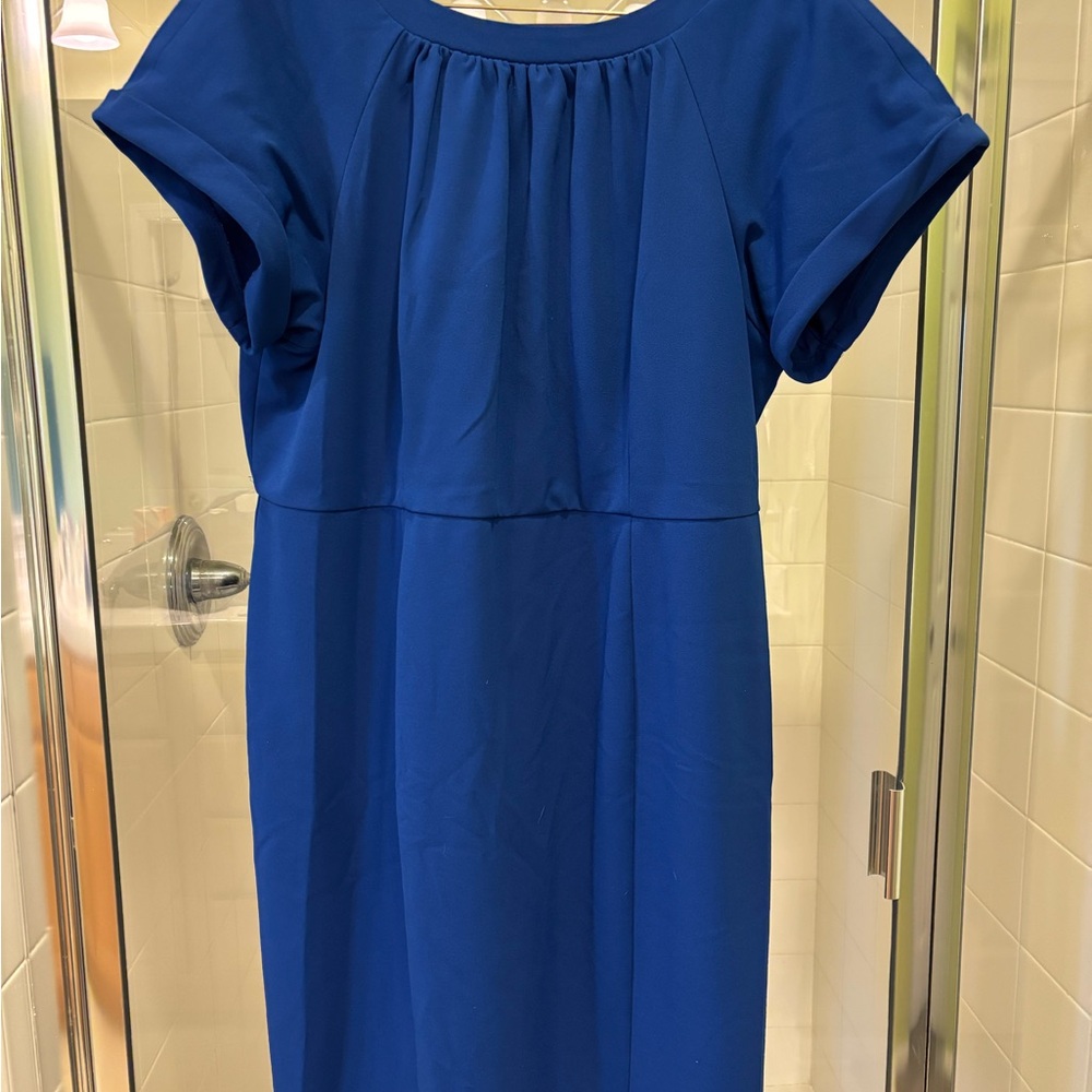 Maggy London Blue Pleated Sheath Dress with short Dolman Sleeves and V-back